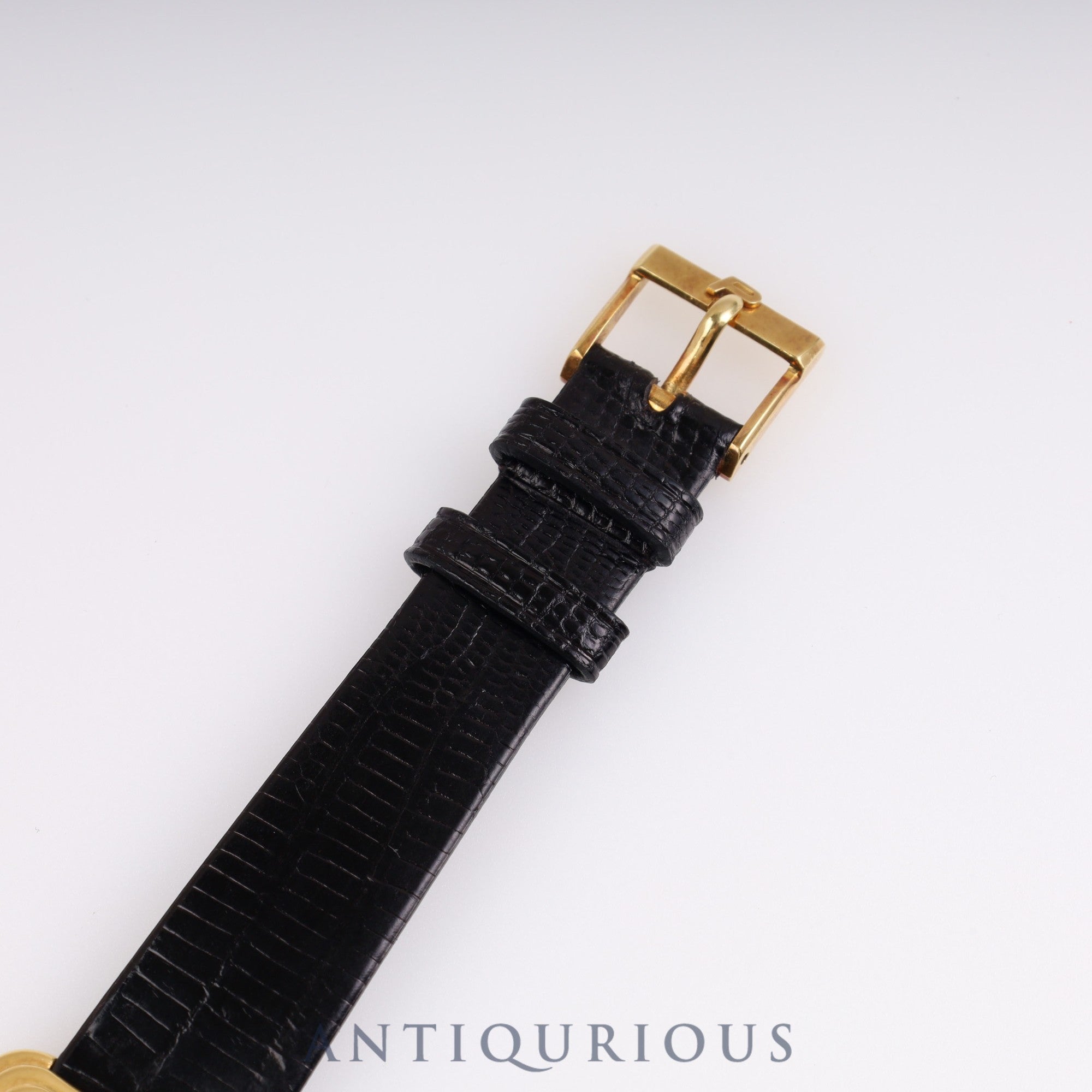 ピアジェ プロトコール 74101