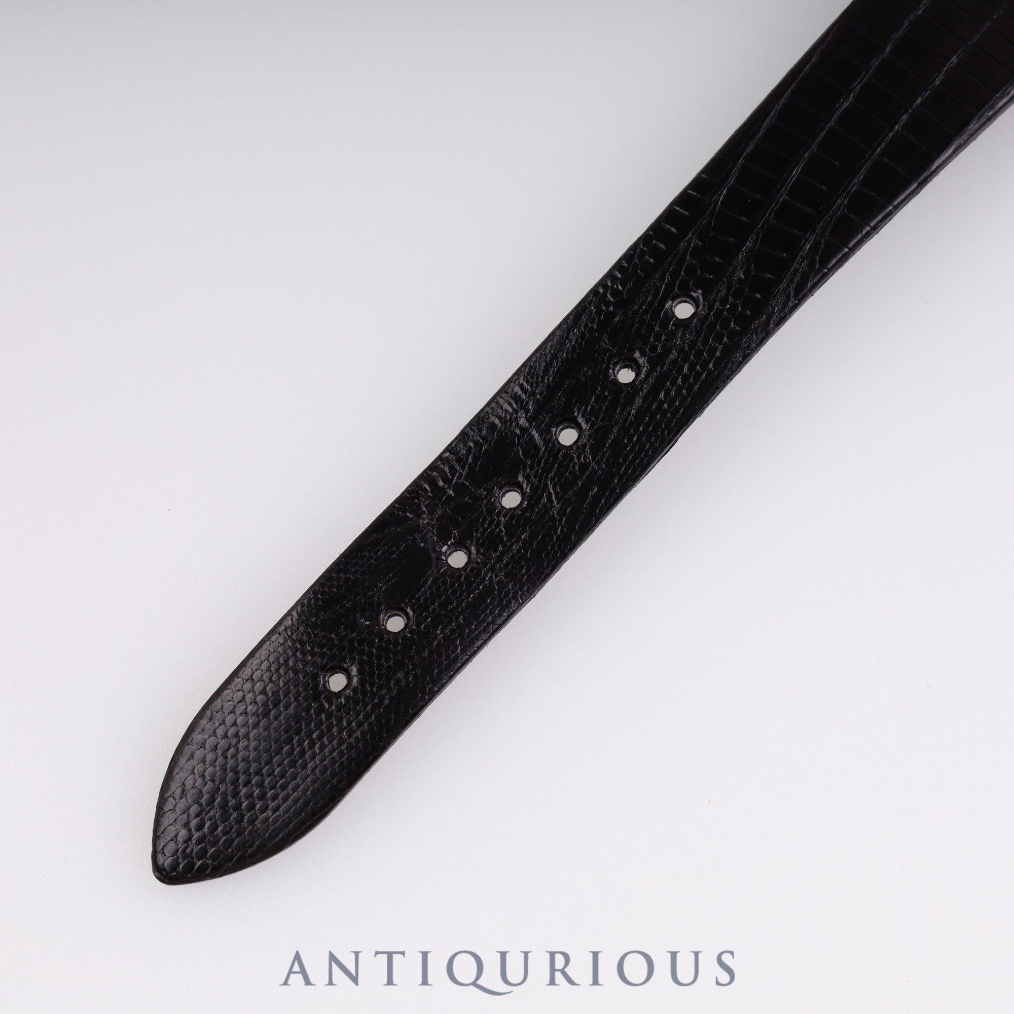 ピアジェ プロトコール 74101