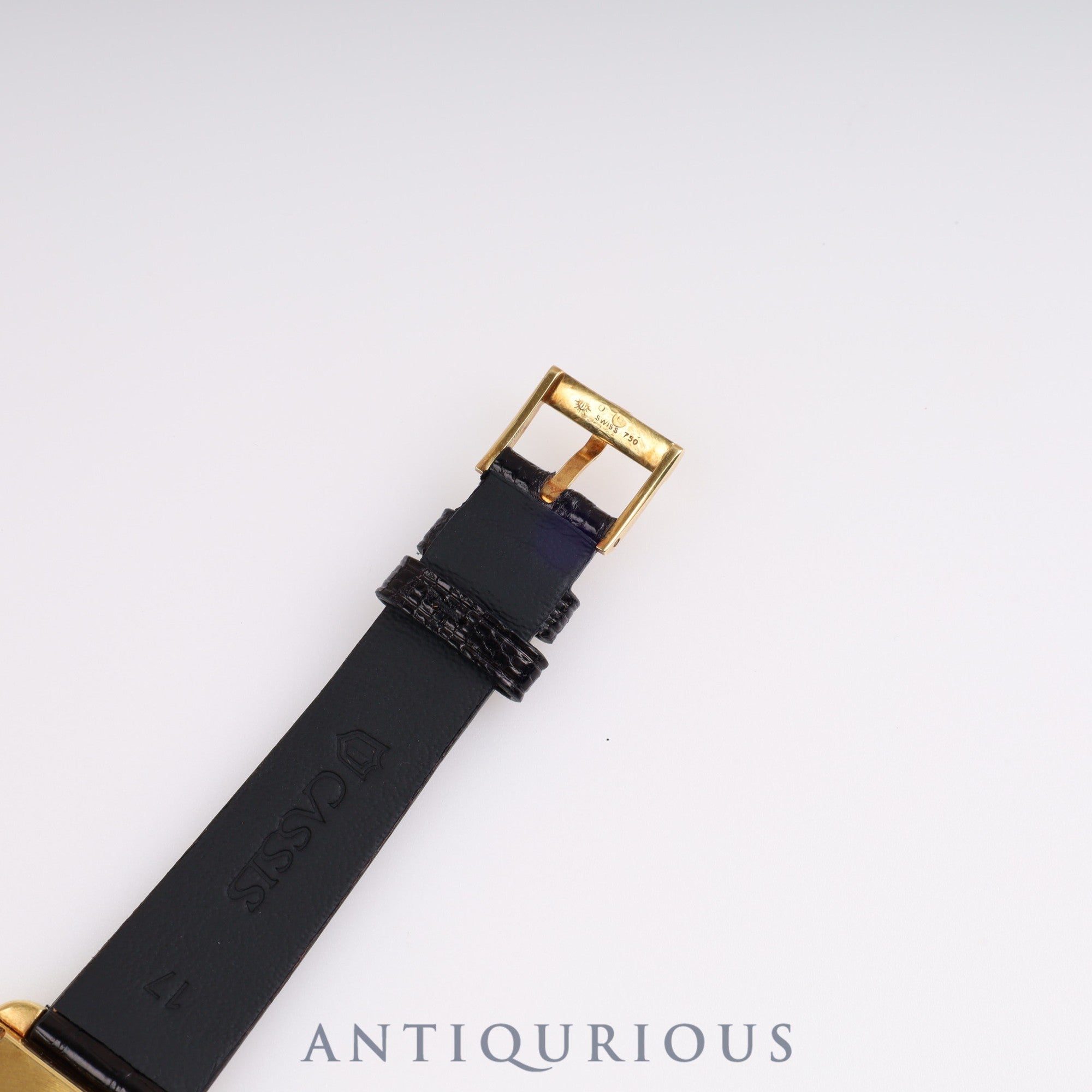 ピアジェ プロトコール 74101