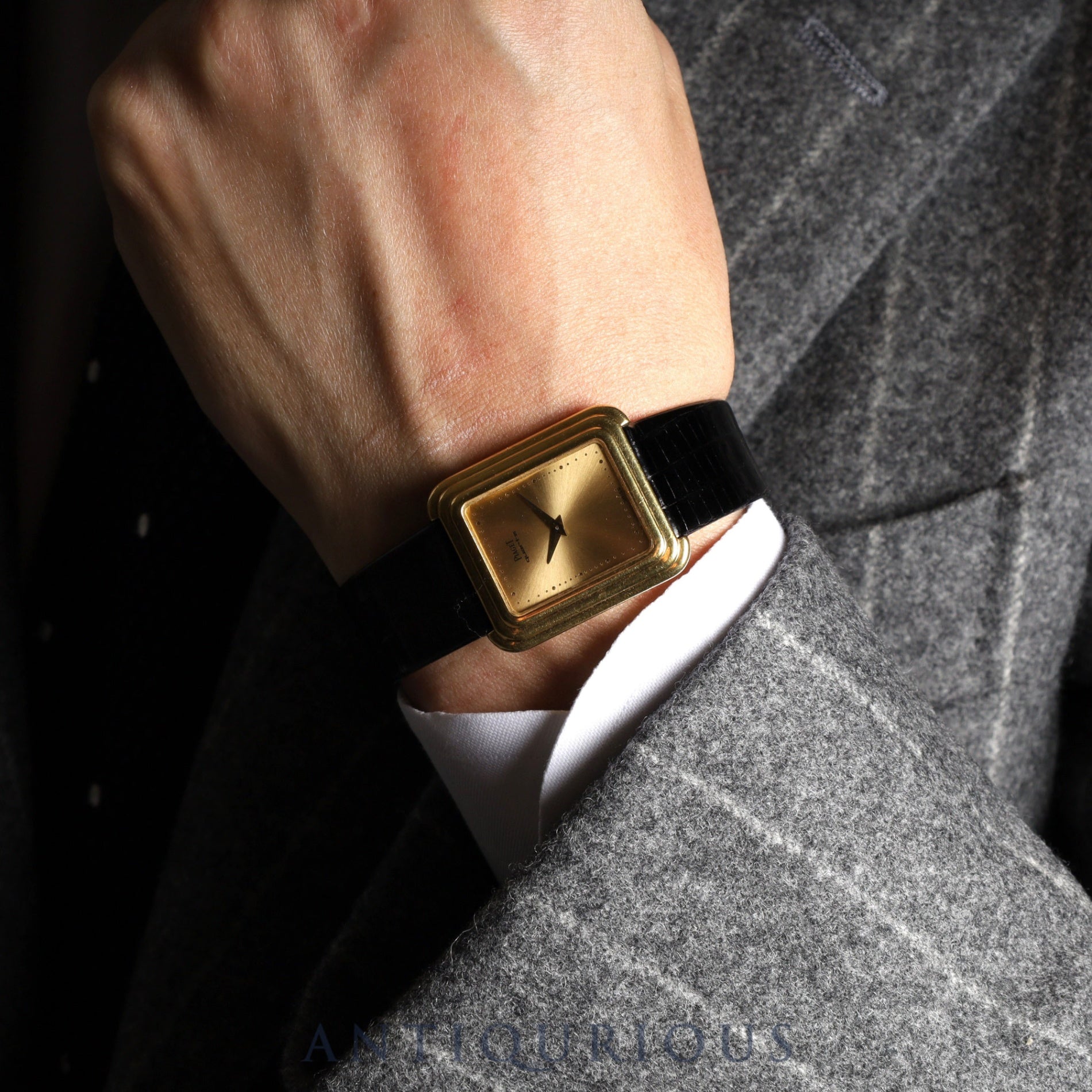 ピアジェ プロトコール 74101