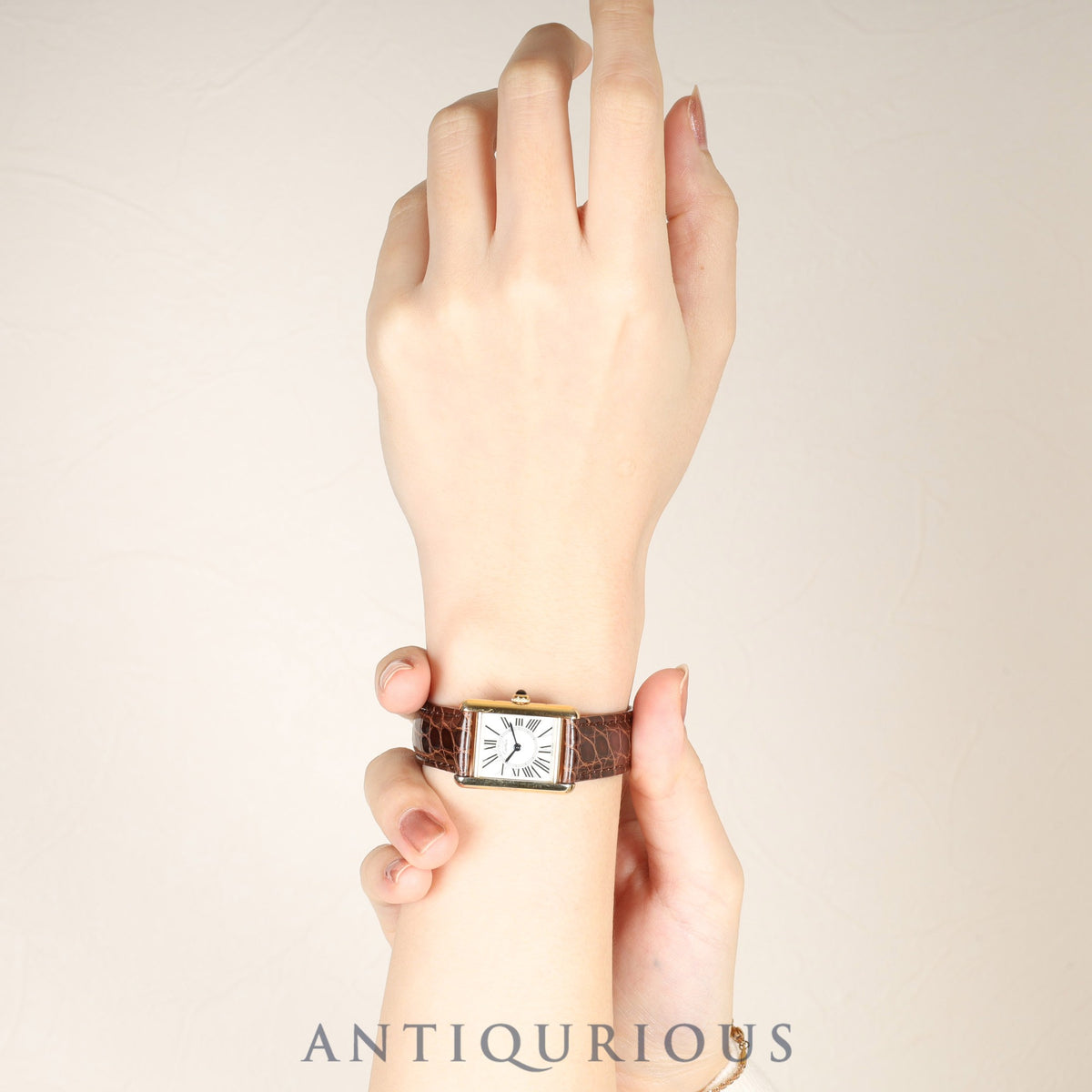 Cartier Must Tank SM W1005554 / 1613 Quartz Caliber - SV925 Leather Strap with Genuine D-Clasp (GP) Opalescent Dial Circa 1996-1998 Completely serviced at a Cartier boutique