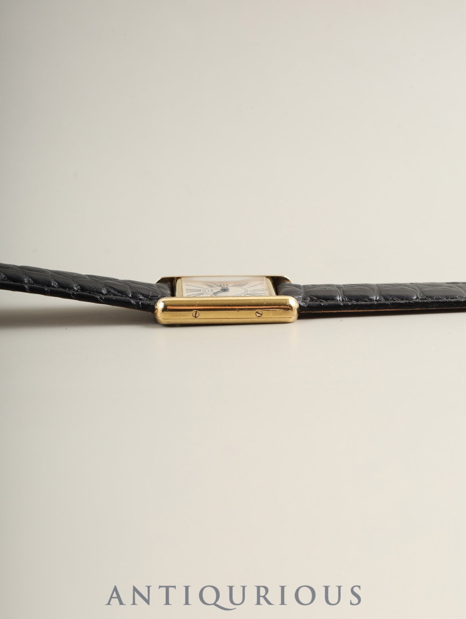 Cartier Must Tank SM 5057001 Quartz Cal. 057 SV925 Leather Genuine D-buckle (GP) Opalescent dial (SWISS markings) Box Warranty (1994) Complete service overhauled at a Cartier boutique on January 2, 2019