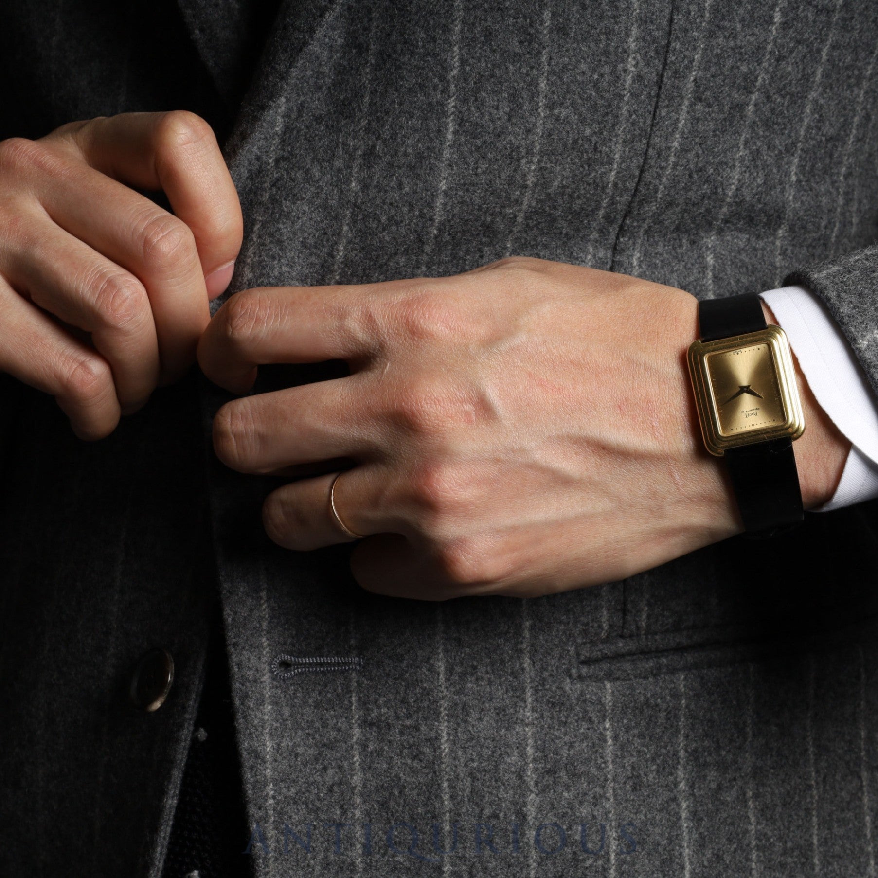 ピアジェ プロトコール 74101