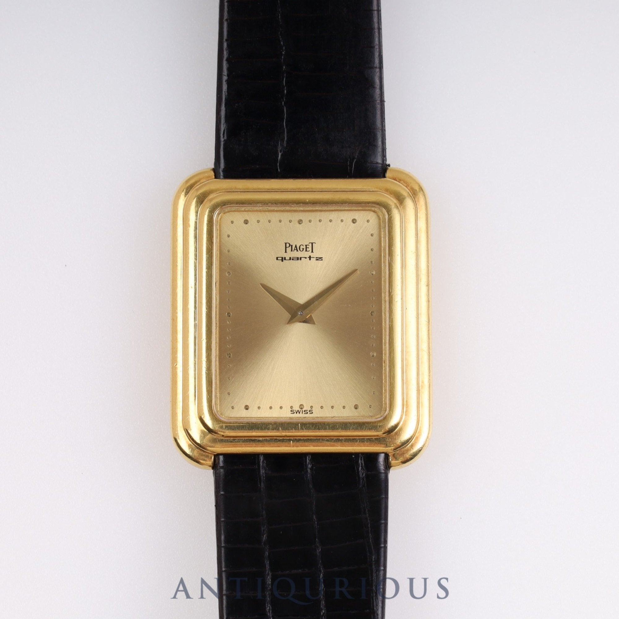 ピアジェ プロトコール 74101