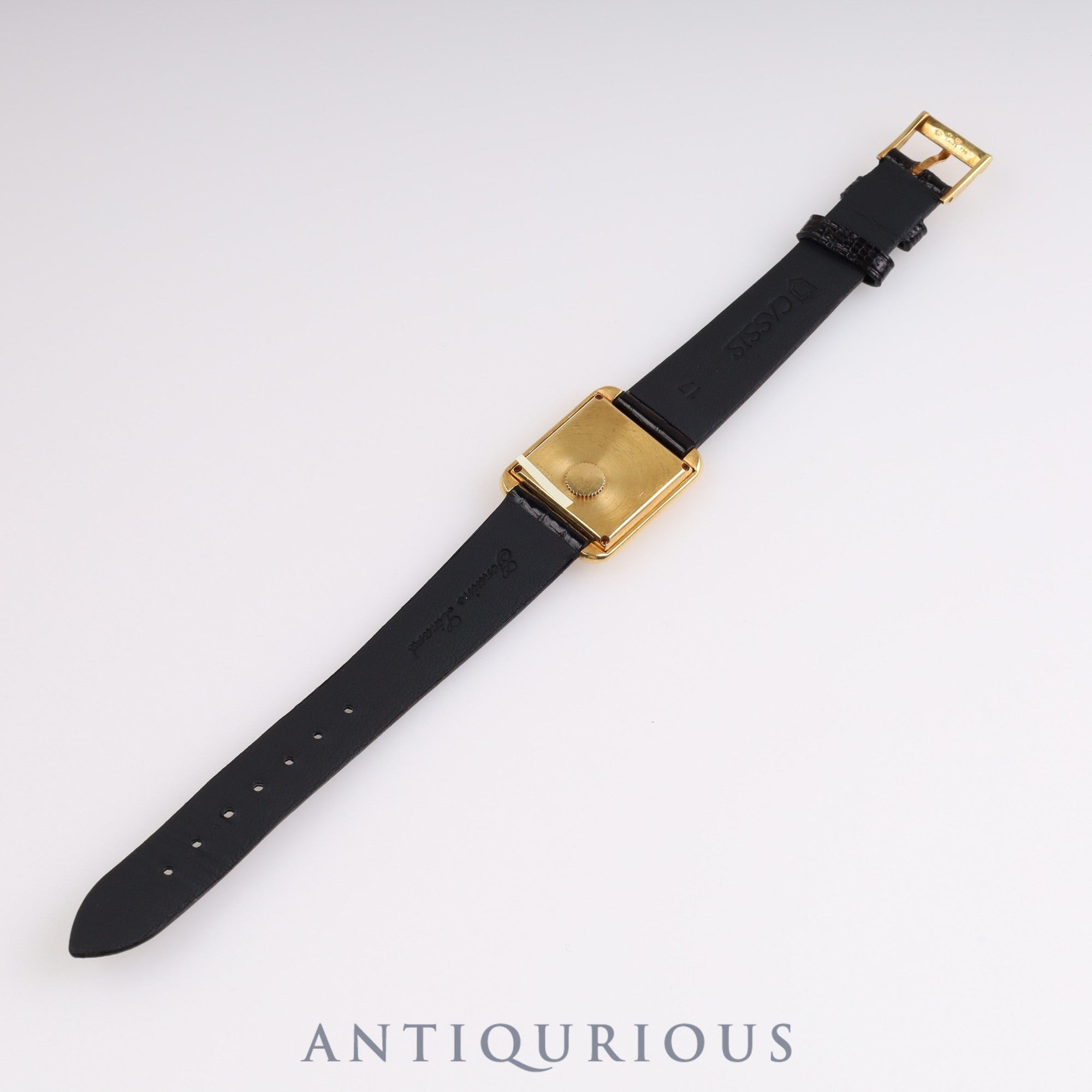 ピアジェ プロトコール 74101