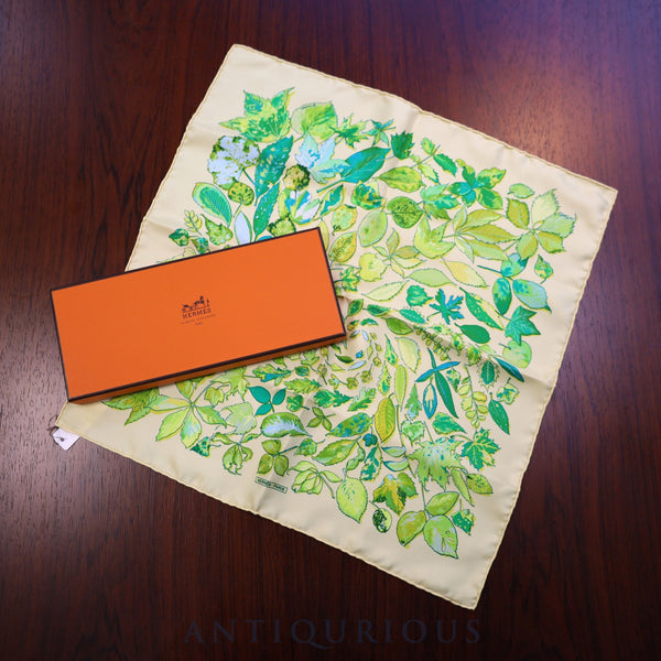 Hermes scarf Carre 45 spiral SILK100% box tag