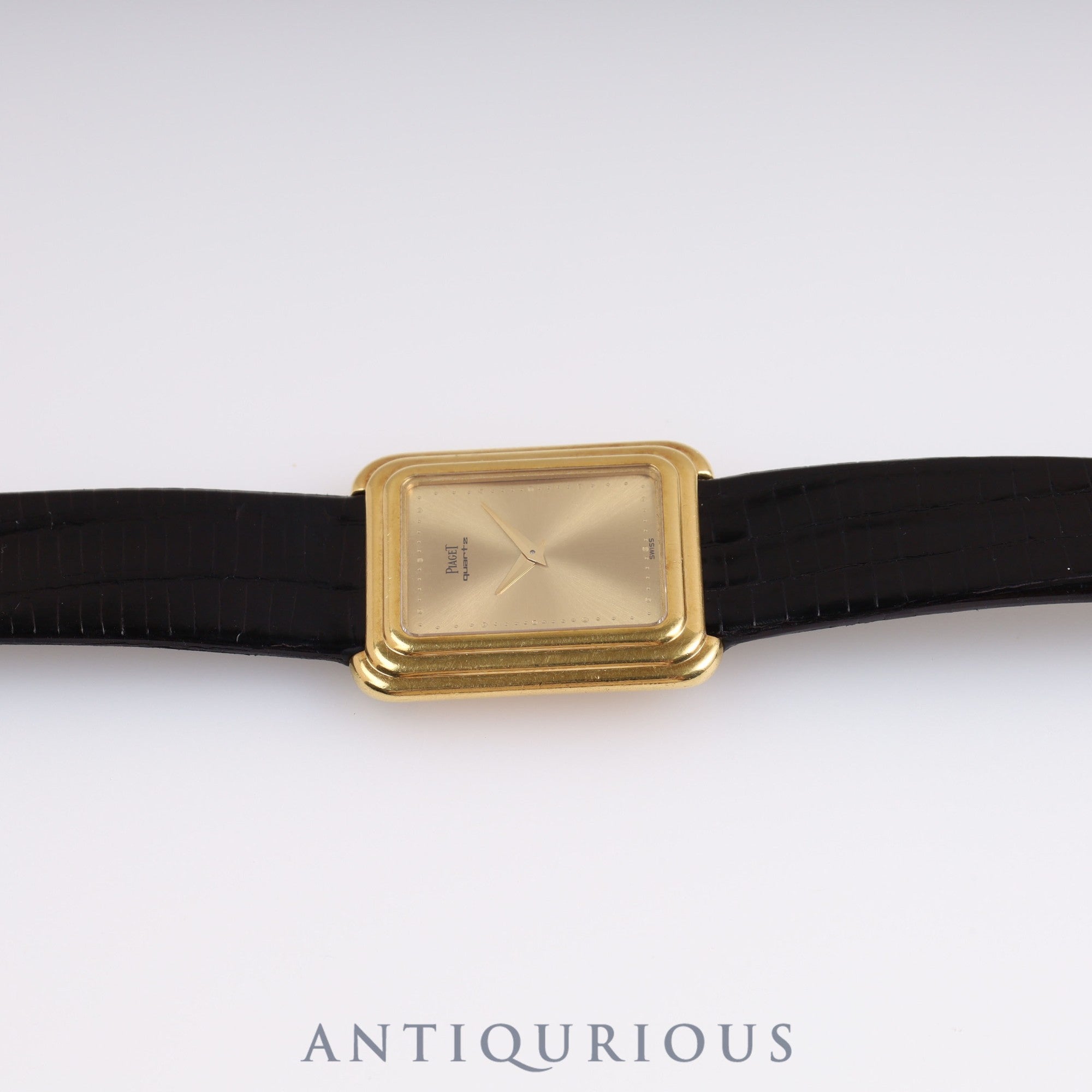 ピアジェ プロトコール 74101