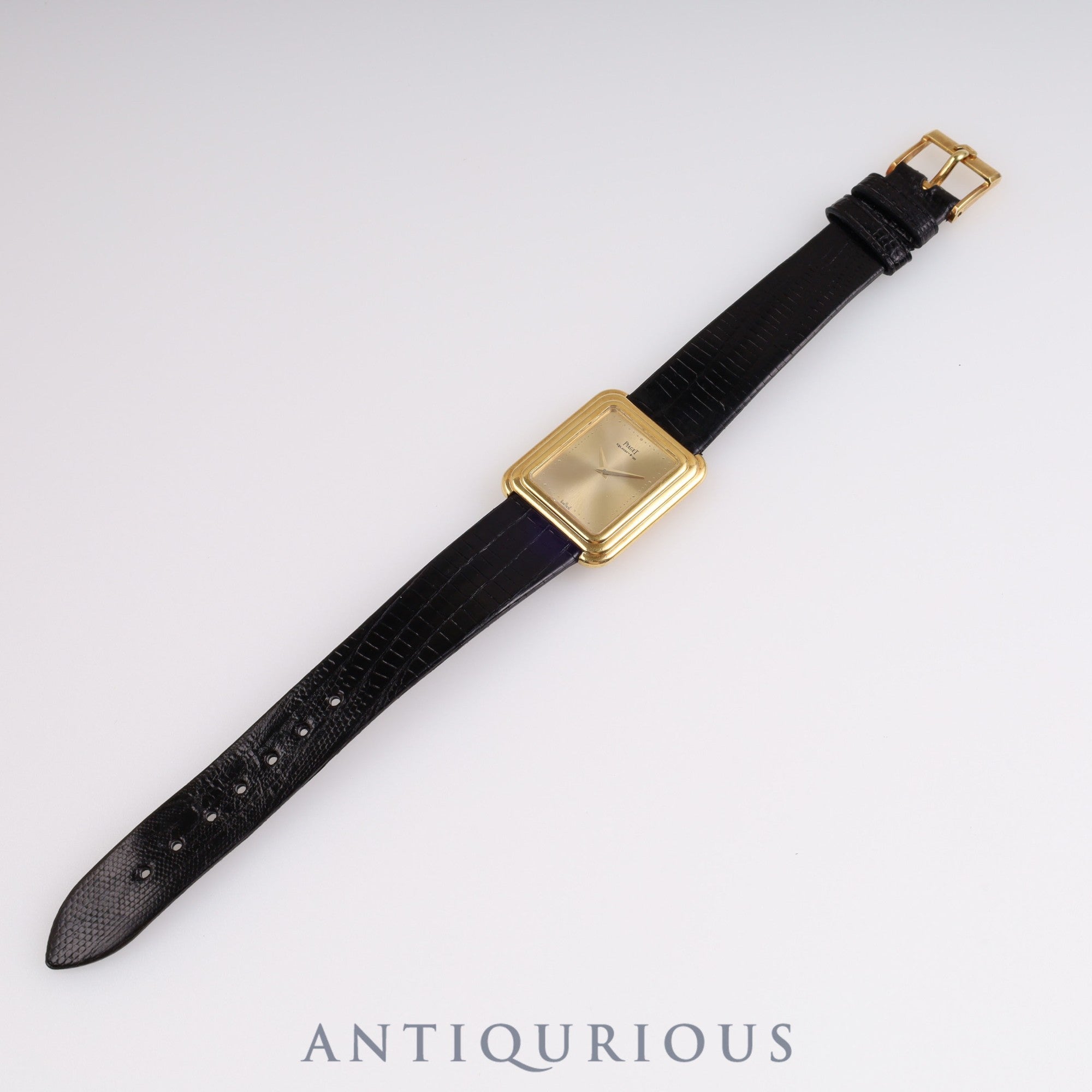 ピアジェ プロトコール 74101