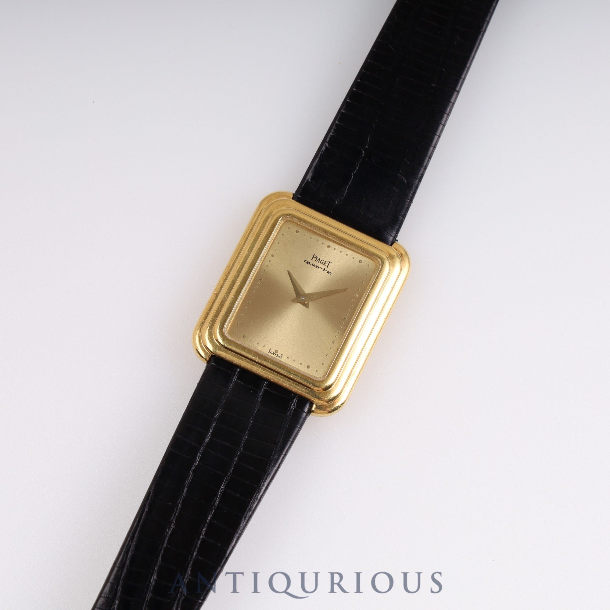 ピアジェ プロトコール 74101