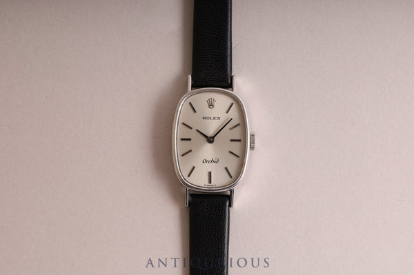 ロレックス オーキッド Cal.1400 2679