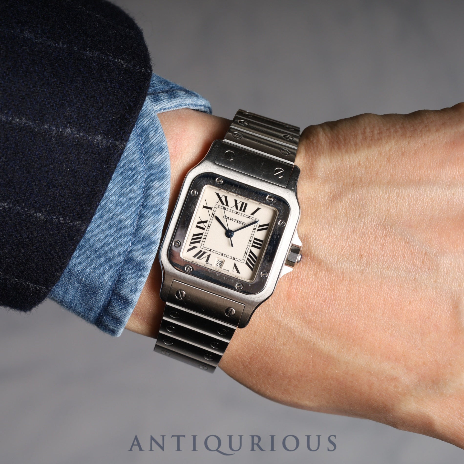 Cartier Santos Galbee LM W20060D6