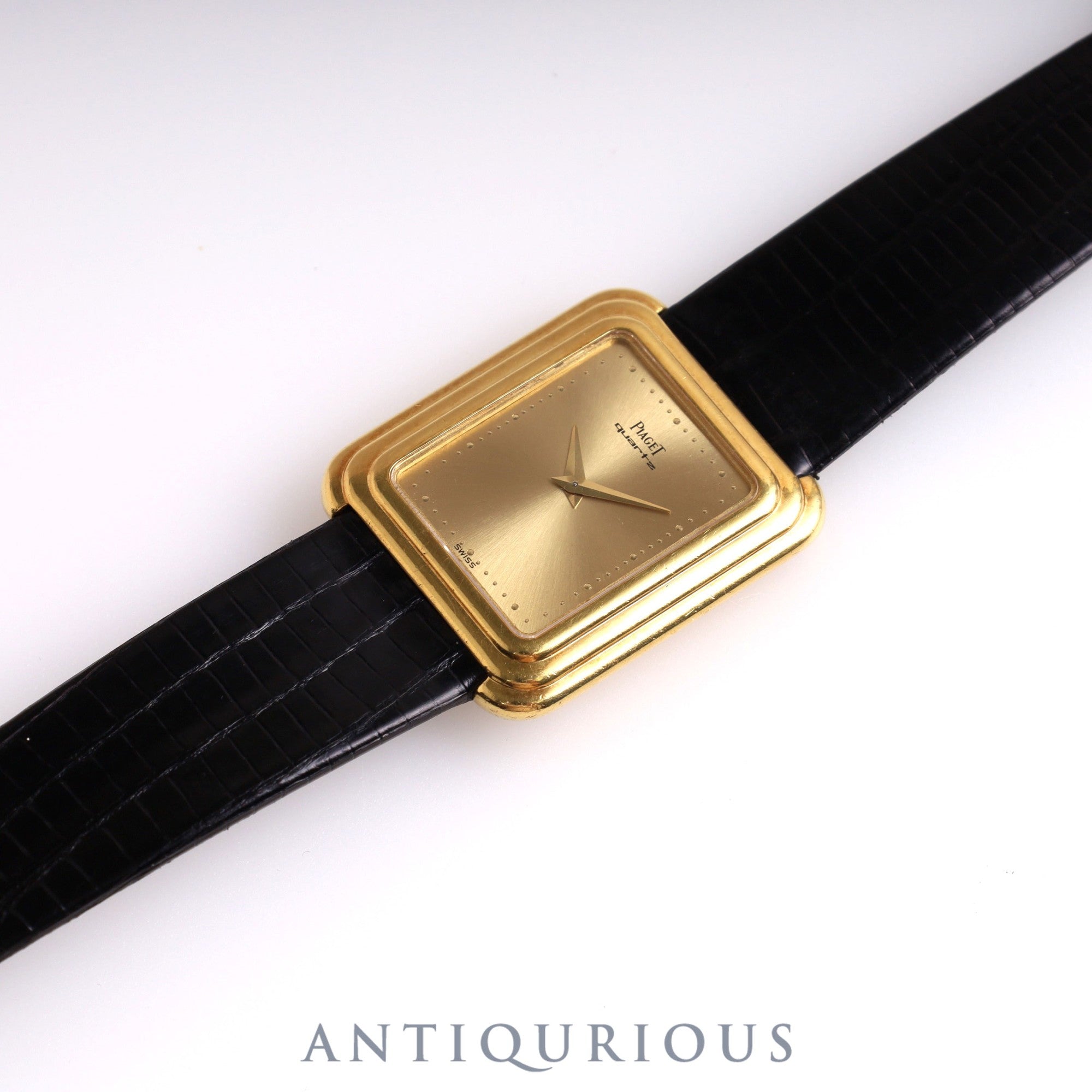 ピアジェ プロトコール 74101