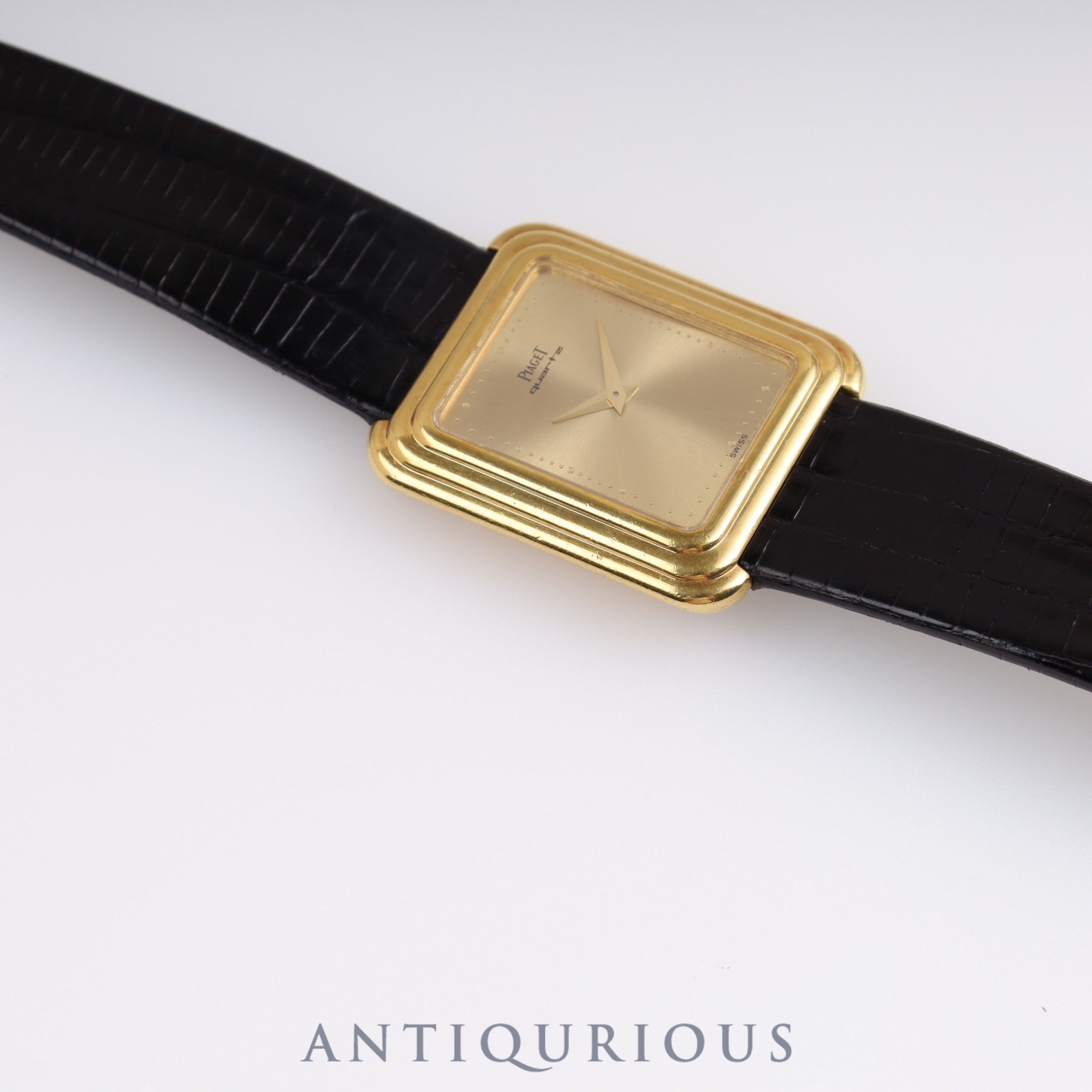 ピアジェ プロトコール 74101