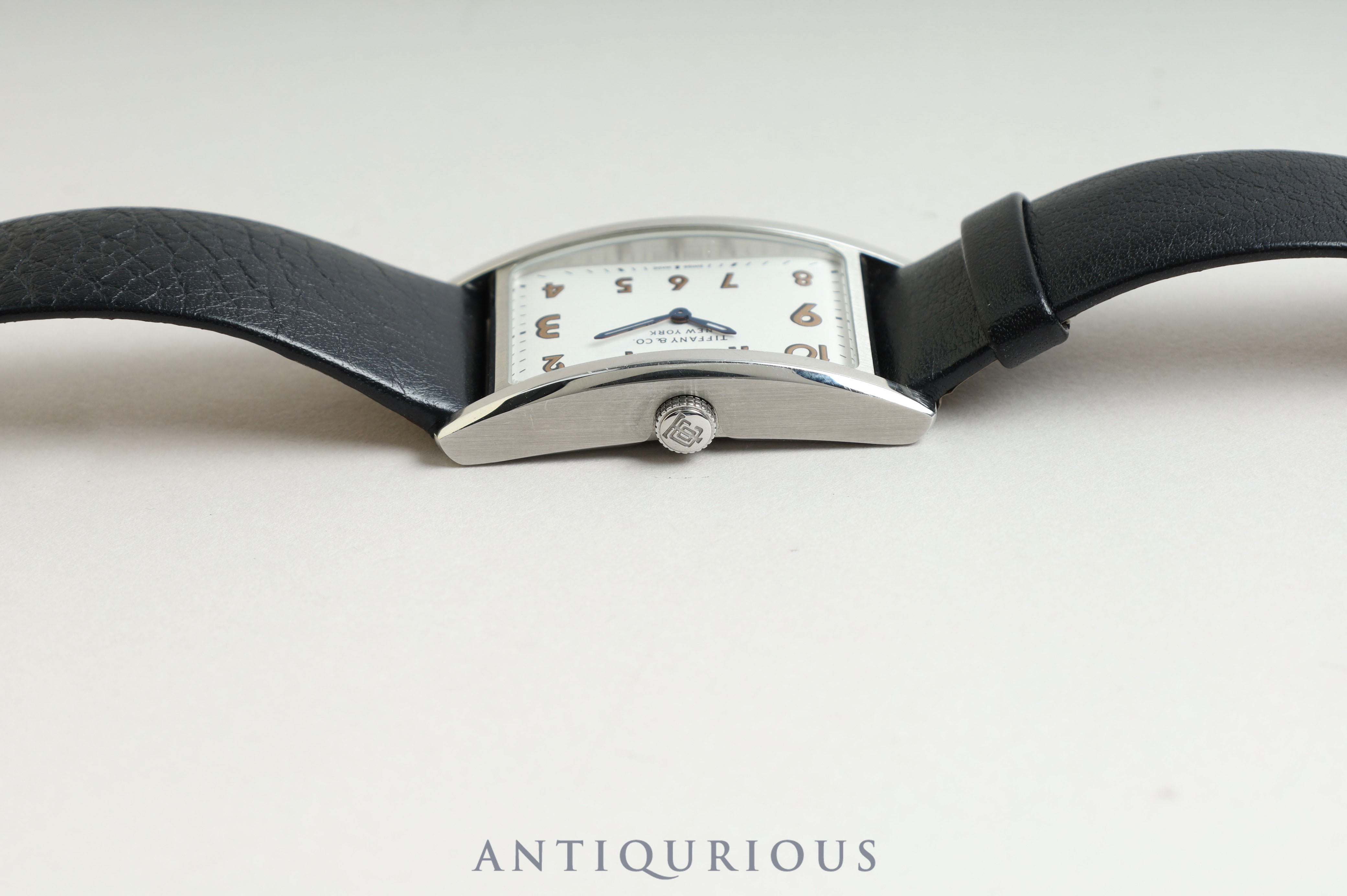 Tiffany East West Mini 36668636