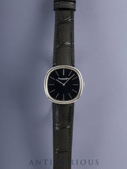 IWCオールドインター 2584 手巻き SS 革 純正ピンバックル（SS）ブラック文字盤 (SWISS表記）純正レザーベルト付き オーバーホール済み アイダブリュシー