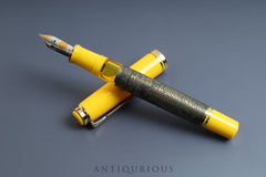 Pelikan Fountain Pen
