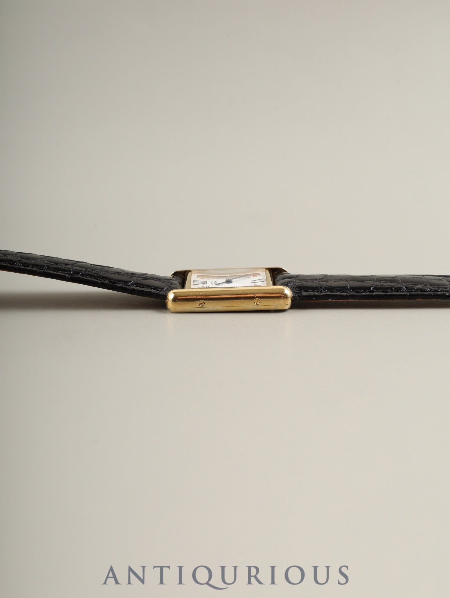 Cartier Must Tank SM 1613 Quartz SV925 Leather with original deployant buckle (GP) with Trinity dial (SWISS表記) complete service by Cartier Boutique